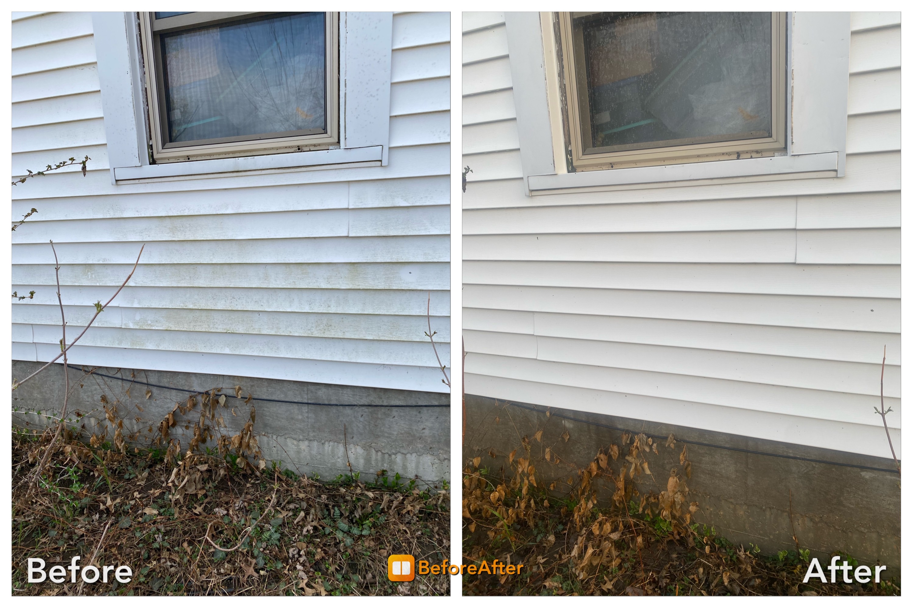 Cleaned House siding with visible algae growth and dirty eaves