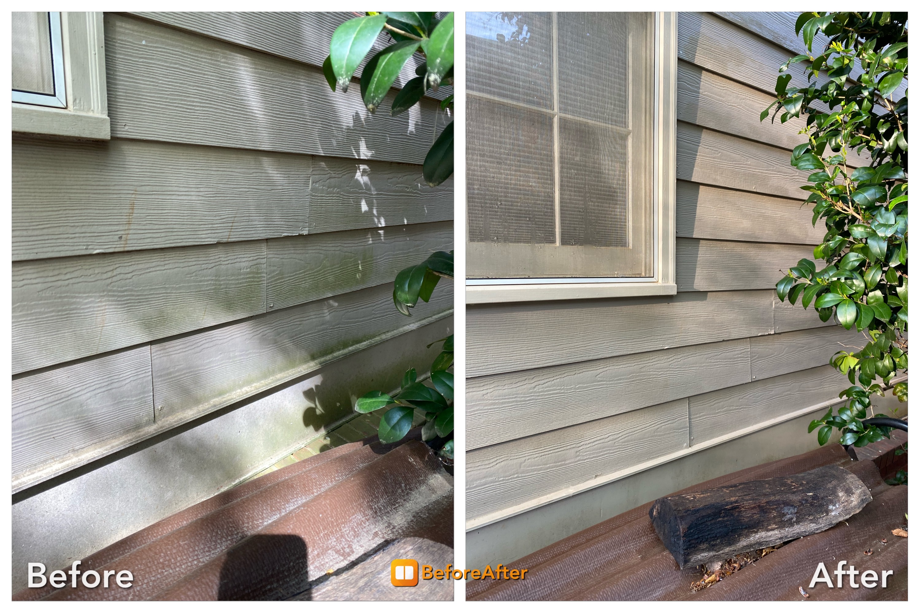 Cleaned House siding with visible algae growth and dirty eaves