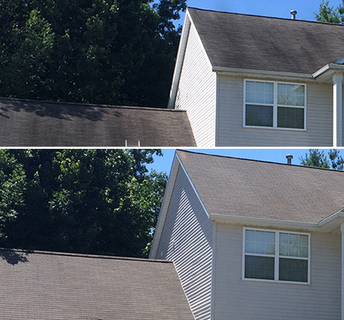 Dirty Roof before and after